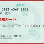 マイナンバー通知カードが届かない時に確認する5つのチェックポイント!