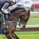 東京競馬場の花火大会に行くなら要チェック!場所取りのポイントご紹介!